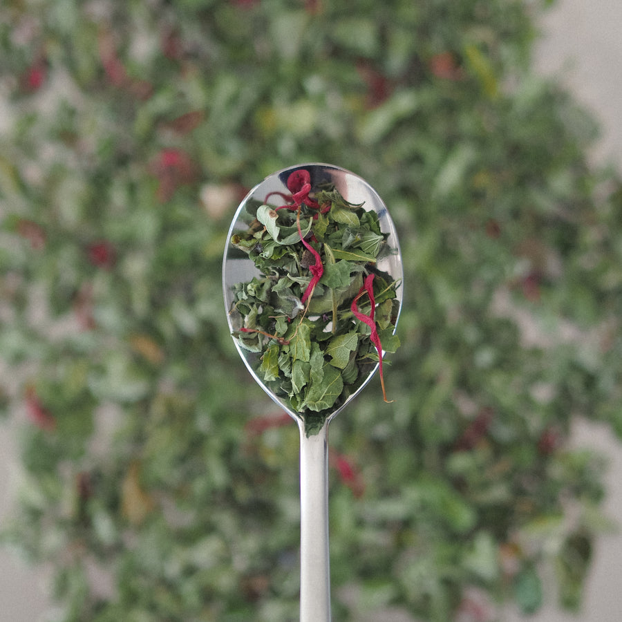 Organic Morning blend - by Maison Myrthus x Arcadia