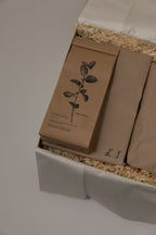 The Creative Pause | Lettering class gift box