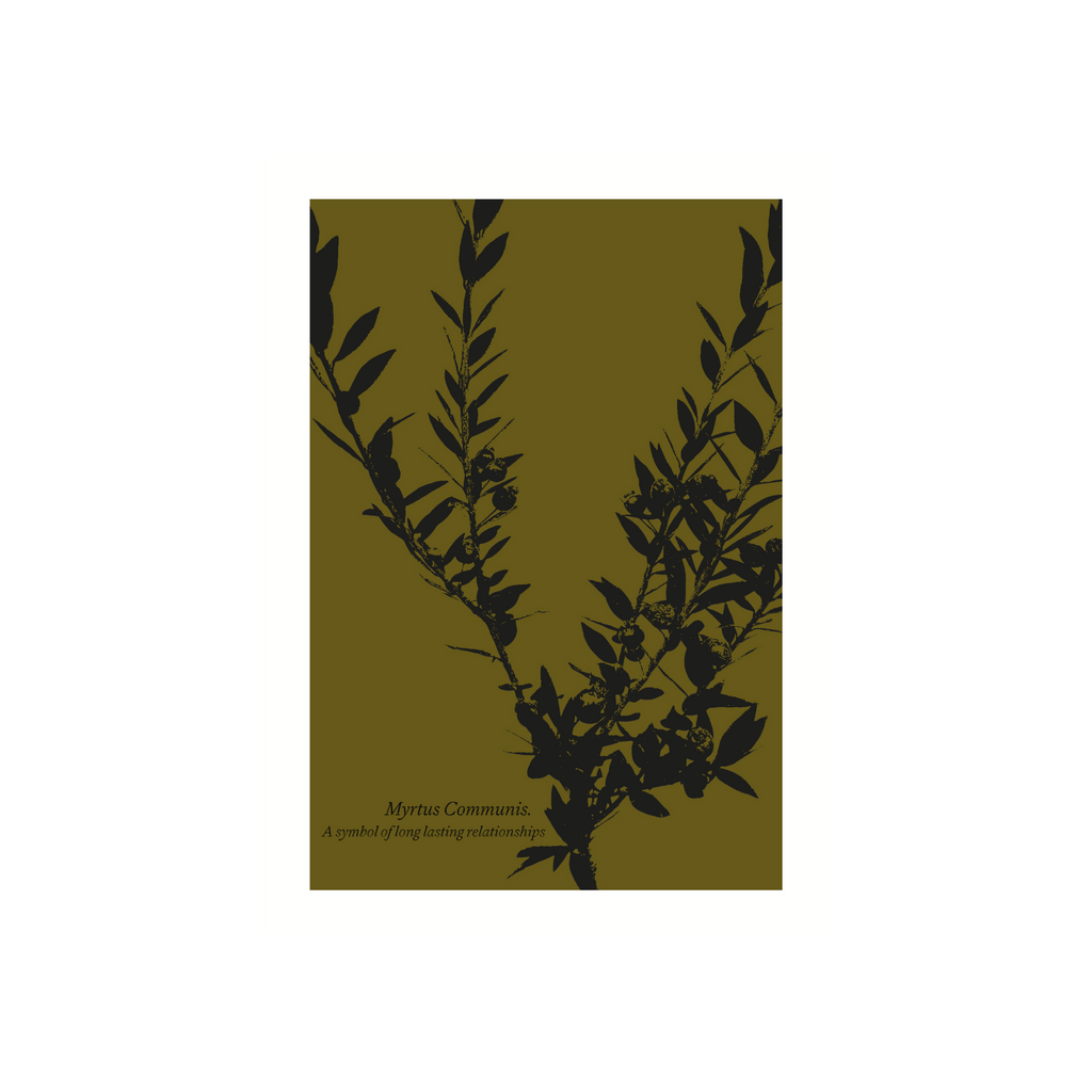 Carte illustrée Myrte