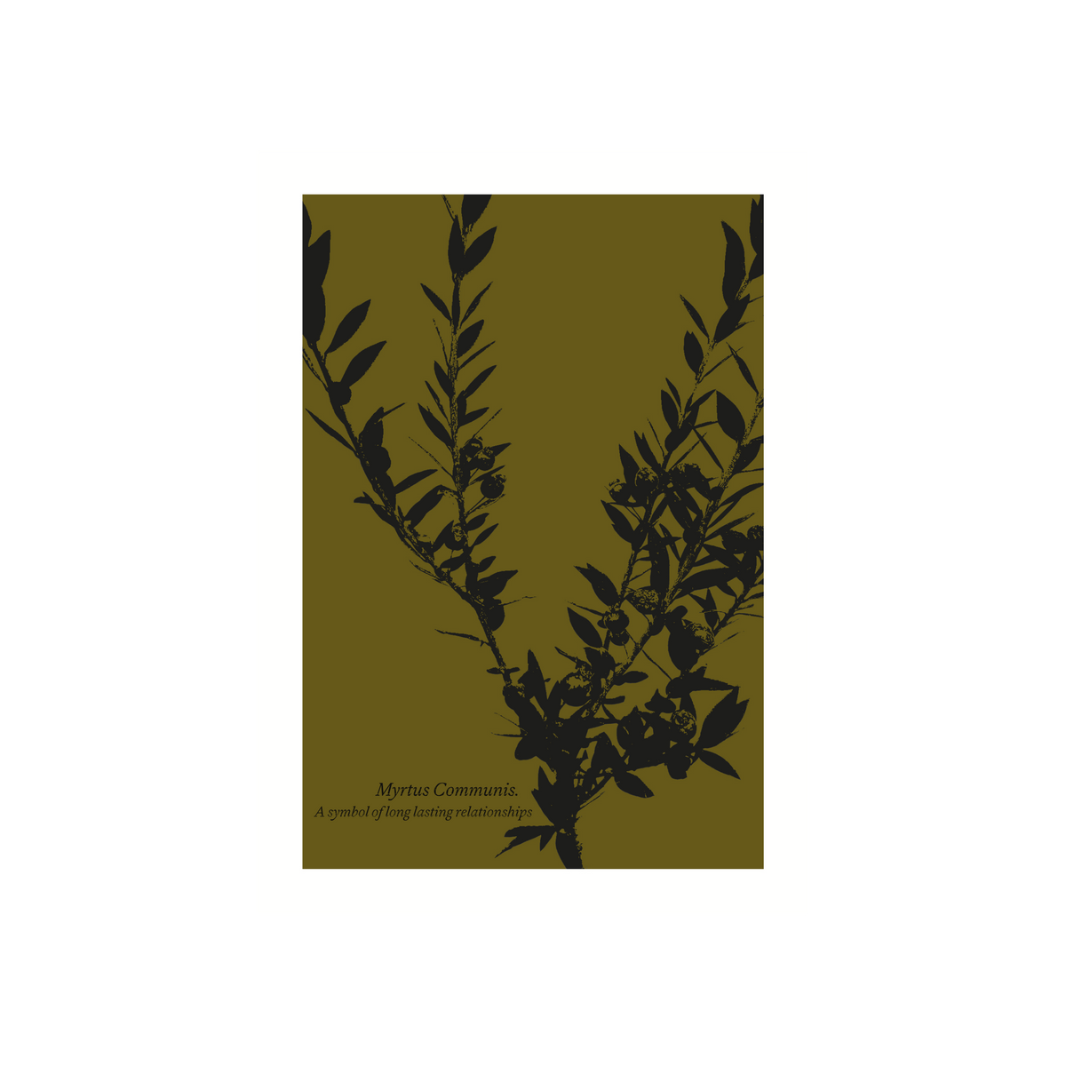 Carte illustrée Myrte