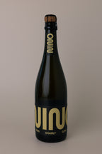 A dark glass bottle of Nino Charly sparkling beverage with a cork stopper, featuring a black label with large gold lettering, set against a solid warm gray background.