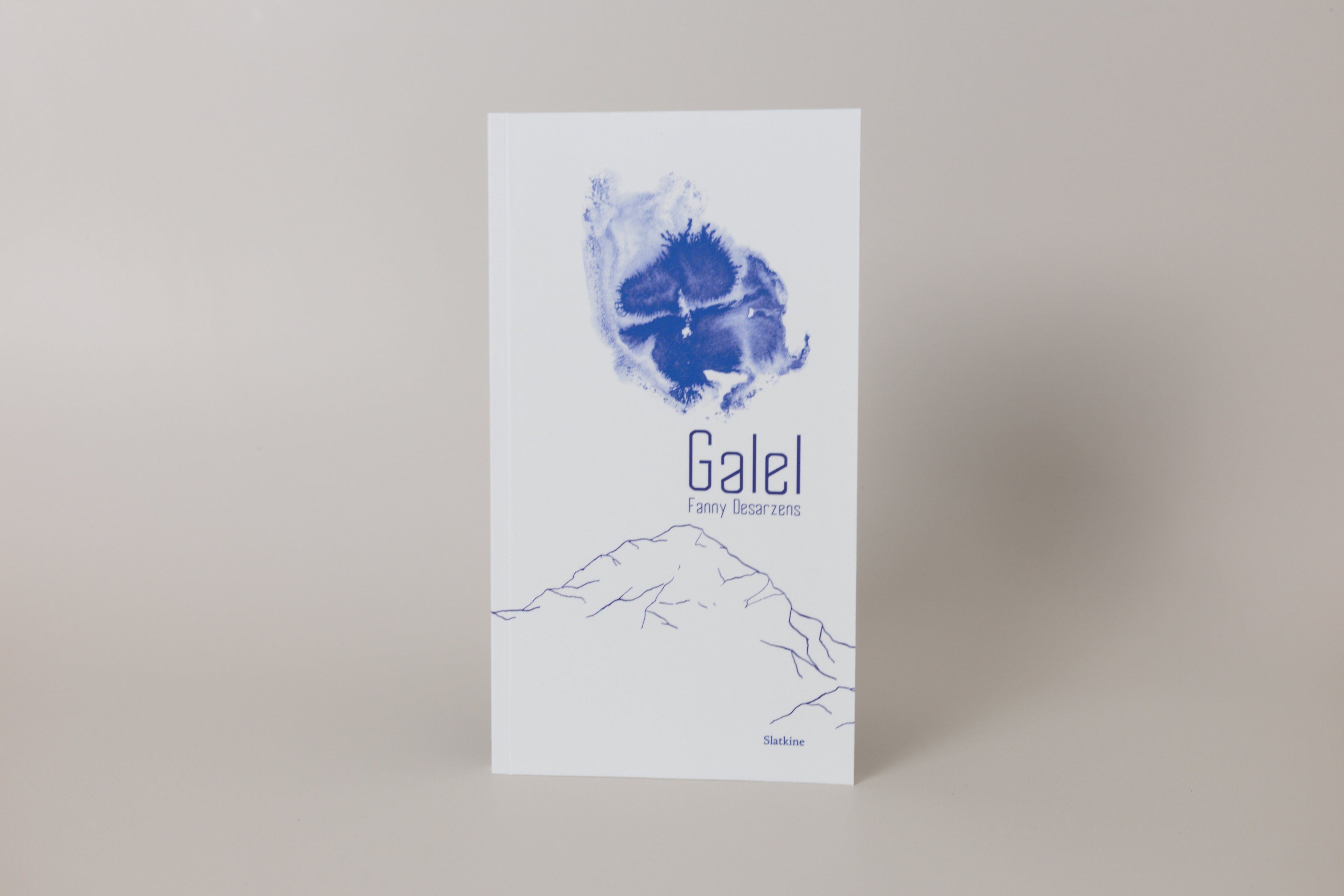 Galel book with blue design on a light gray background