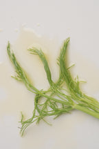 Fennel & Juniper Body Oil - by Robert & Josiane