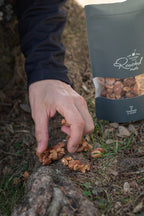 Organic Rosemary Roasted Nuts - by The Tiny Factory