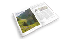 Wild swim Switzerland - Book by Helvetiq